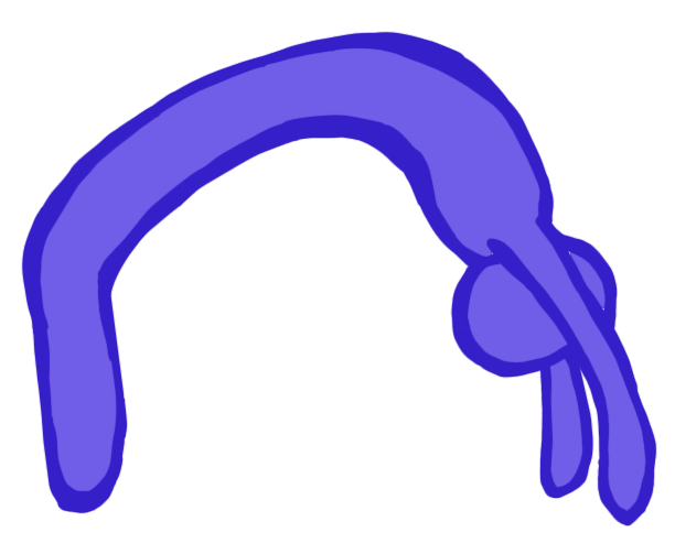  indigo figure doing a bridge